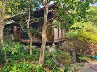 ⛩️綠色名古屋大佛【桃巖寺-下篇】