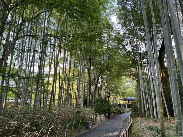 靜岡修繕寺景點 竹林小徑