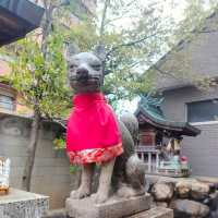 ขอพรความรักที่ Tamutsukuri Inari-jinja Shrine