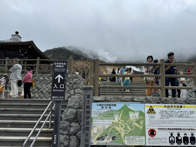 Sengokuhara & Owakudani: A Beautiful Detour and Volcanic Wonders! 🌿🌋
