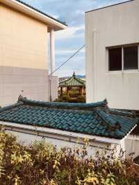 Commanding Daytime Vistas of Jeju's Coast and City