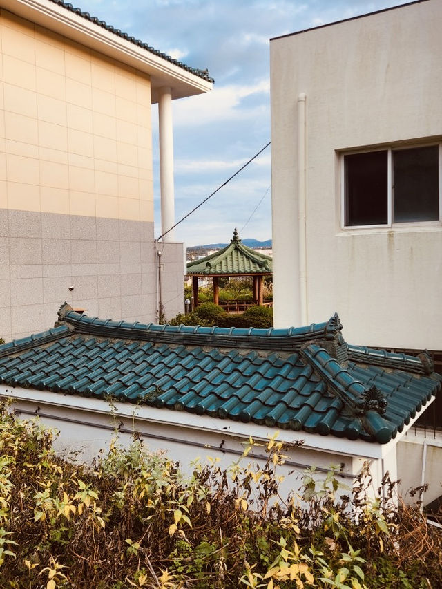 Commanding Daytime Vistas of Jeju's Coast and City