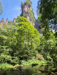 Zhangjiajie National Forest Park rocks!! 🏞