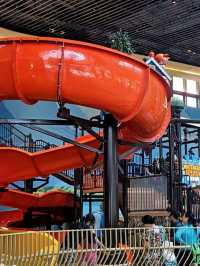 🐬🎢 Ocean Park Hong Kong – Where Animals & Thrills Meet the Sea! 🌊