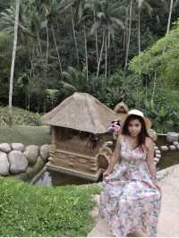 🌾 Tegalalang Rice Terrace — A Must-Visit on Your Bali Weekend Getaway for Summer! 🌾