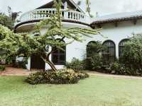 A Dreamy Day at Pinto Art Museum