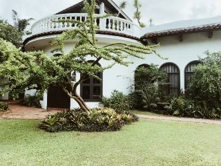 A Dreamy Day at Pinto Art Museum