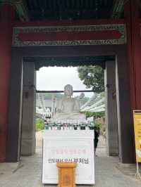 연꽃 그리고 봉은사