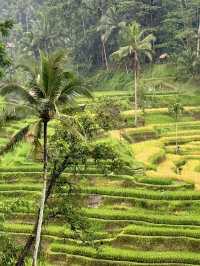 Tis Cafe: Must-Visit in Tegallalang