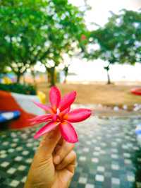 2D1N Zhuhai Summer Romantic  Chill