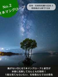 【石垣島】地元民しか知らない星空スポット🌌