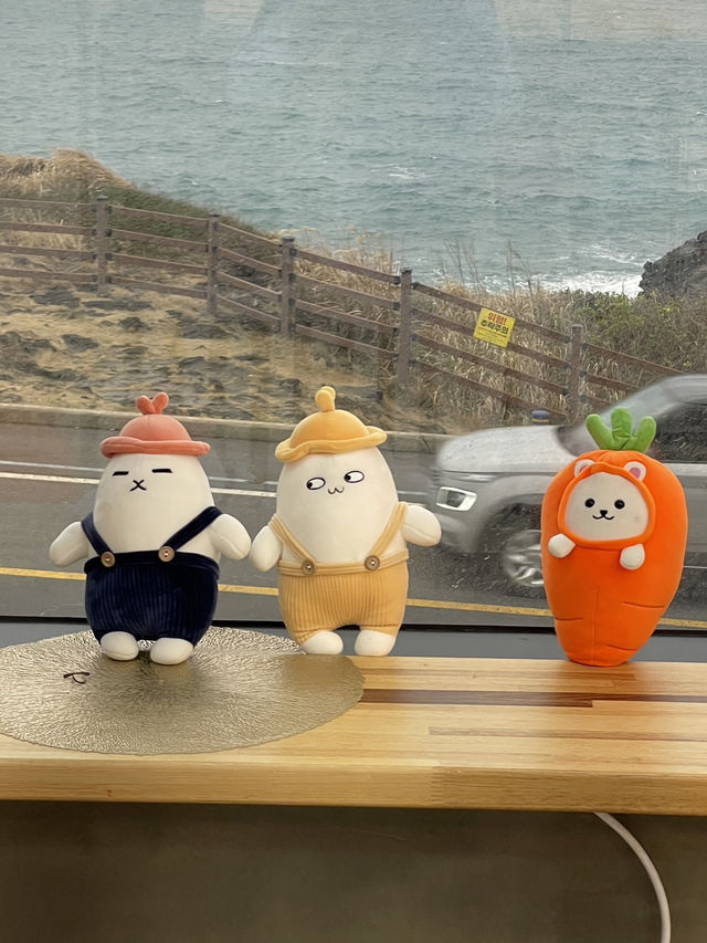 🌊 이국적인 애월 오션뷰 포토&소품샵 마켓제주 (Market Jeju)