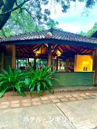 🇱🇰 スリランカ旅行記　VOL.1