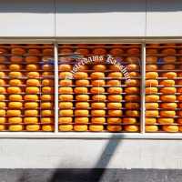 【オランダ名物】チーズ🧀
