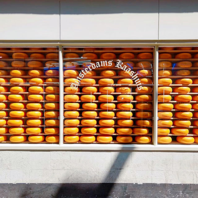 【オランダ名物】チーズ🧀