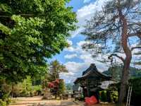 高山 | 素玄寺，東山遊步道的賞楓景點