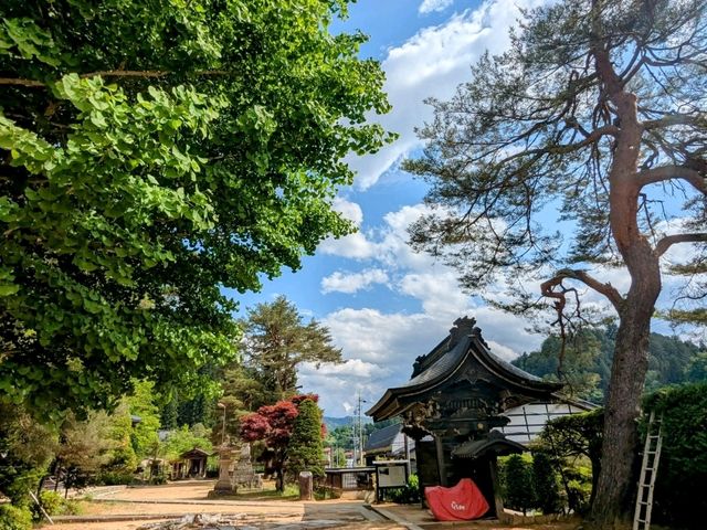 高山 | 素玄寺，東山遊步道的賞楓景點