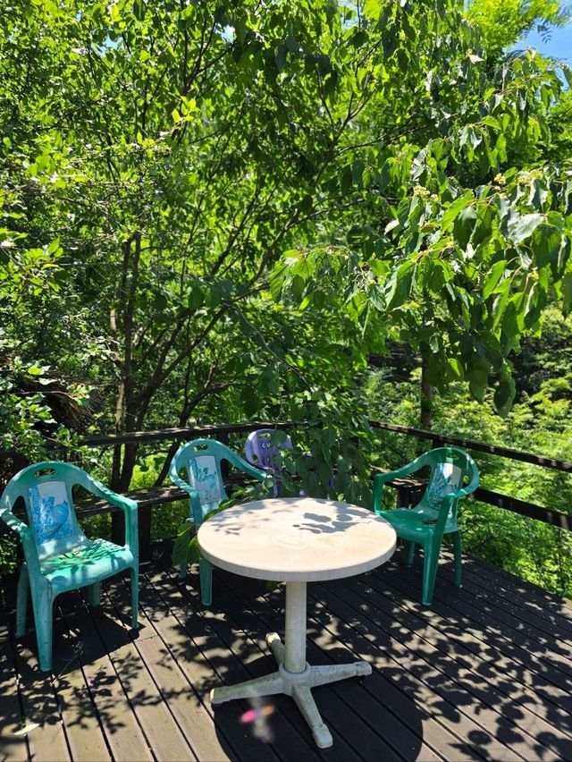 깊은 숲속 비밀스런 하동 산장카페💚
