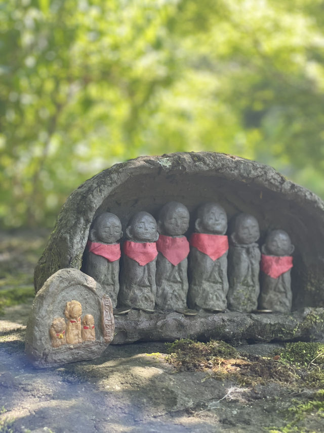 【群馬】映えスポット多数！群馬を代表する花寺