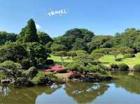 新海誠筆下的浪漫💕～新宿御苑
