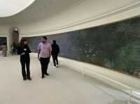 Money’s Water Lilies Experience: Musée de l’Orangerie, Paris
