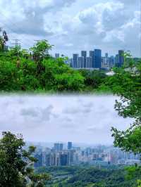 深圳銀湖山郊野公園 • 徒步、騎行