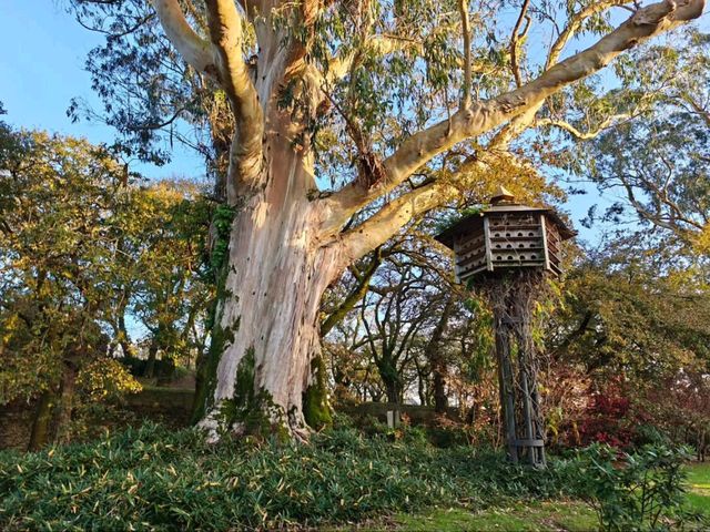 Leafy Stroll at Parque da Alameda