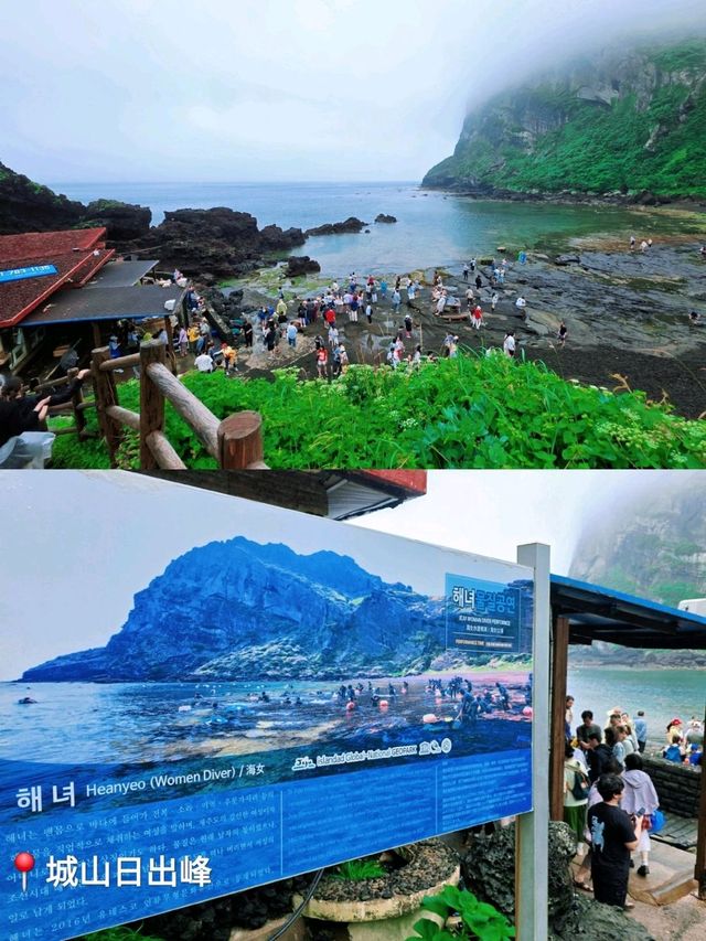濟州歷史文化觀光巴士一日遊🏞感受韓劇《苦盡柑來遇見你》IU 生活🛖🤿🦪🐙🐚