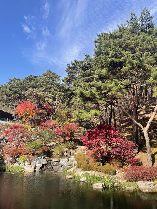 제천 여행