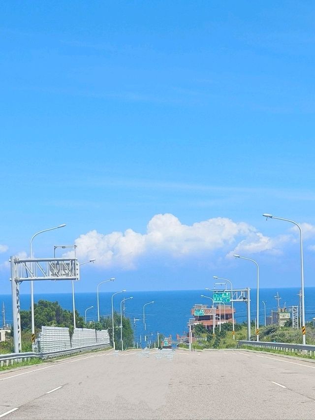 苗栗苑裡小熊博物館 附近景點一日遊