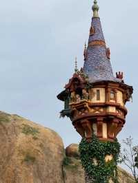 Sail into Adventure: The Magic of Tokyo DisneySea