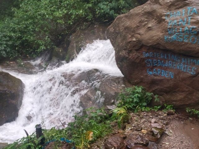 Agro tourism in kurseong hills. 
