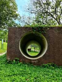 Putrajaya Wetlands Park – Nature’s Quiet Escape in the City