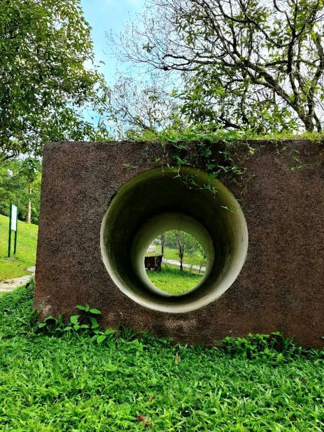 Putrajaya Wetlands Park – Nature’s Quiet Escape in the City