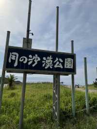 【千葉】 海岸にラクダ？ 絶景スポット