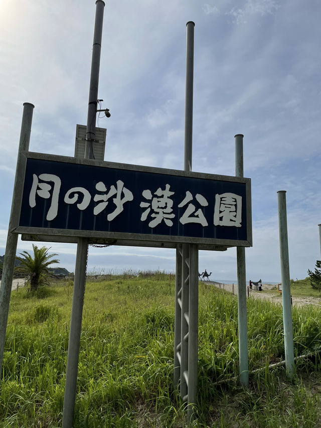 【千葉】 海岸にラクダ？ 絶景スポット