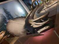 🦖 Jurassic Research Center — Walk Among Dinosaurs in Genting Highlands