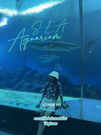 💙หลุดเข้าโลกใต้ทะเลกับ S.E.A. Aquarium Singapore 