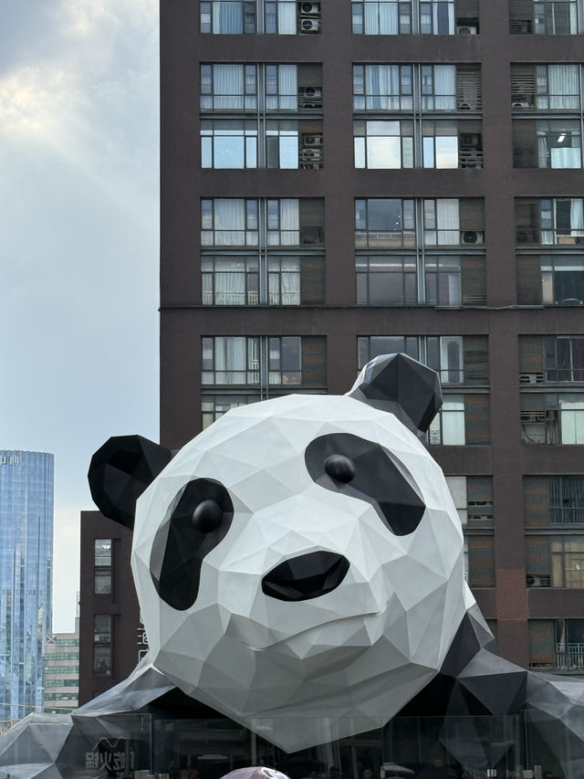 🧋 Chengdu City Vibes
