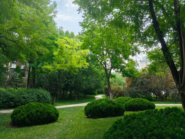 Nankai Park🌳🦋