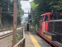Kyoto: Arashiyama Bamboo Grove & A Taste of Kyoto! 🎋🍜