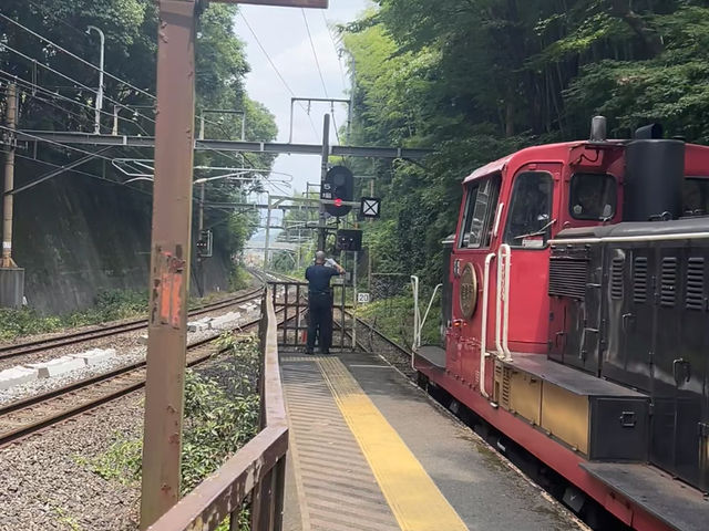 Kyoto: Arashiyama Bamboo Grove & A Taste of Kyoto! 🎋🍜
