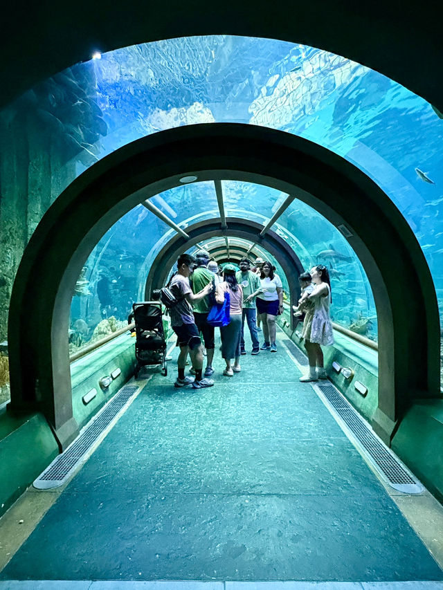 The Sea Shell-越南最大的水族館，吸睛巨型海龜造型