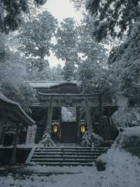 【鞍馬寺】天狗伝説が息づく神秘の山寺へ🌲👺