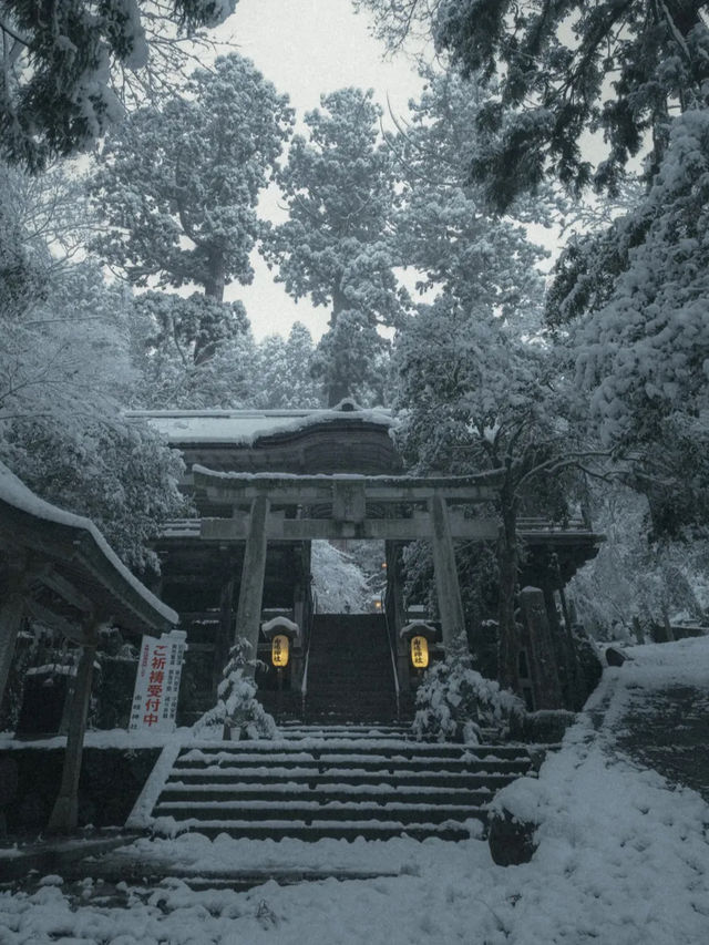 【鞍馬寺】天狗伝説が息づく神秘の山寺へ🌲👺