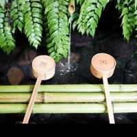 【貴船神社】水の神様に願いを込めて💧幻想的な森の中で縁結びの旅