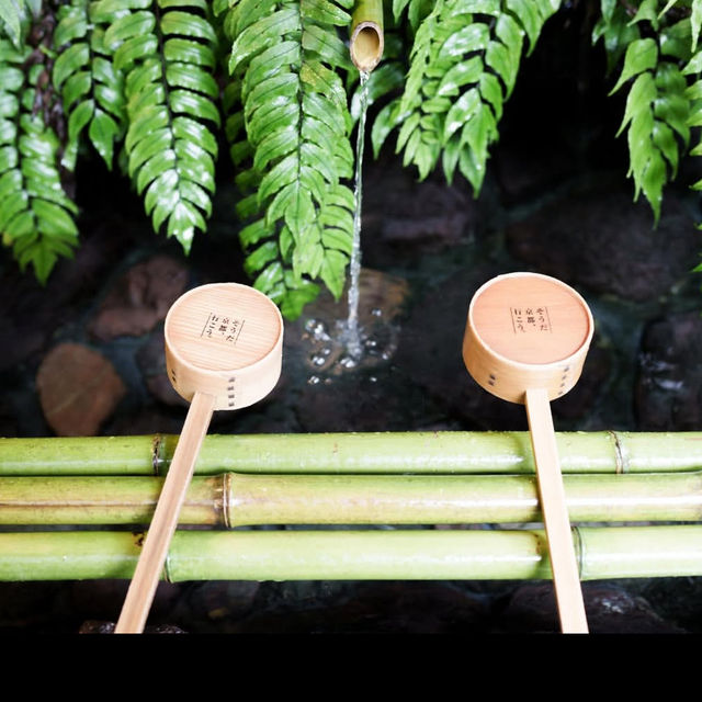 【貴船神社】水の神様に願いを込めて💧幻想的な森の中で縁結びの旅