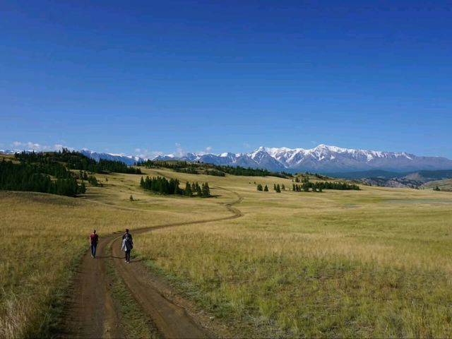 Mountains, Meadows & Endless Views. Strolling the Chuysky Trakt