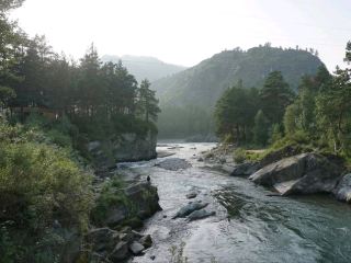 Hiking, Pines & River Vibes