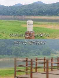 여행도 하고 환경도 지키는 탄소 중립 여행지 공주!